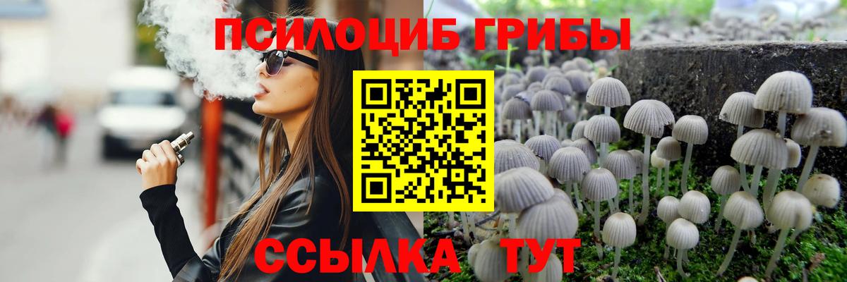 Псилоцибиновые грибы Psilocybe  Вход с VPN  Королёв  Псилоцибиновые грибы Cubensis 